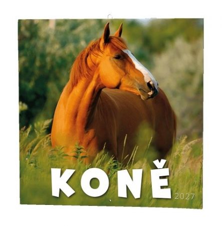 Kalendář nástěnný - Koně                                       2027, 28,5cm x 28,5cm, BNL3