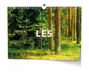 Kalendář nástěnný - Les 2027, 45cm x 32cm, BNK22-27