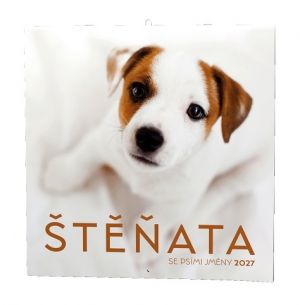 Kalendář nástěnný - Štěňata                                   2027, 28,5cm x 28,5cm, BNL2-