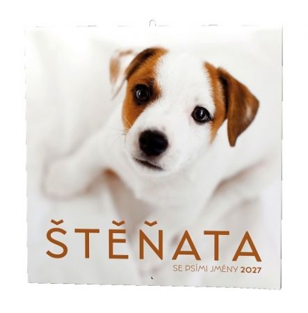 Kalendář nástěnný - Štěňata                                   2027, 28,5cm x 28,5cm, BNL2-