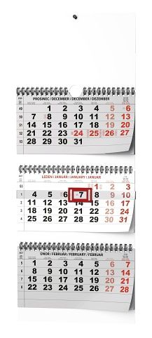 Kalendář nástěnný - Tříměsíční - skládaný (s mezinárodními svátky) 2027, 29,2cm x 72cm, BN