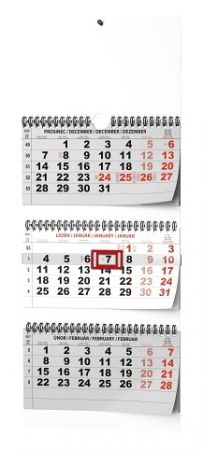 Kalendář nástěnný - Tříměsíční - skládaný (s mezinárodními svátky) 2027, 29,2cm x 72cm, BN