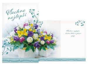 Přání srdečné malé M18-252 Z