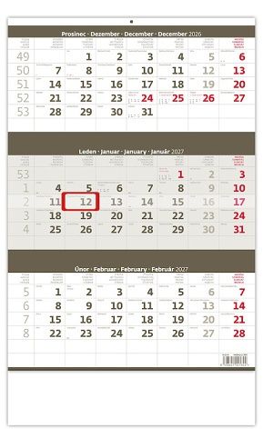 Kalendář nástěnný Tříměsíční šedý 2027, 31,5cm x 45cm, N204-27