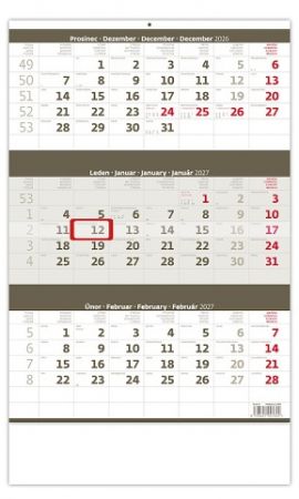 Kalendář nástěnný Tříměsíční šedý 2027, 31,5cm x 45cm, N204-27