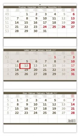 Kalendář nástěnný Tříměsíční skládaný šedý 2027, 31,5cm x 55,5cm, N207-27