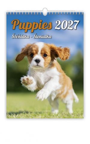 Kalendář nástěnný Puppies/Štěňátka/Šteniatka 2027, 24cm x 33cm, N181-27