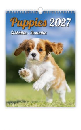 Kalendář nástěnný Puppies/Štěňátka/Šteniatka 2027, 24cm x 33cm, N181-27