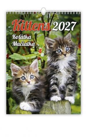 Kalendář nástěnný Kittens/Koťátka/Mačičky 2027, 24cm x 33cm, N180-27