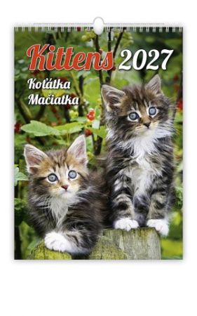 Kalendář nástěnný Kittens/Koťátka/Mačičky 2027, 24cm x 33cm, N180-27
