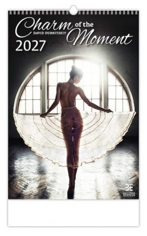 Kalendář nástěnný Charm of the Moment 2027, 33,4cm x 48,5cm, N277-27