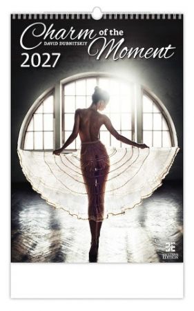 Kalendář nástěnný Charm of the Moment 2027, 33,4cm x 48,5cm, N277-27