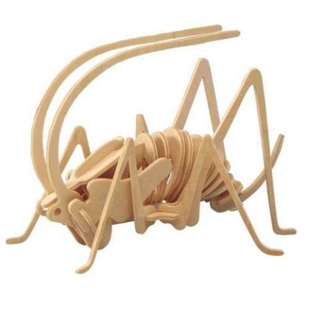 Woodcraft Dřevěné 3D puzzle cvrček