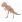 Woodcraft Dřevěné 3D puzzle Velký Tyranosaurus