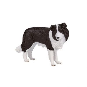 Mojo Border kolie