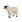 Mojo Hampshire ovce