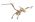 Woodcraft Dřevěné 3D puzzle Pterosaur