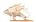 Woodcraft Dřevěné 3D puzzle Griffin