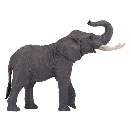 Mojo Slon africký XXL