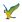 Mojo Ara ararauna