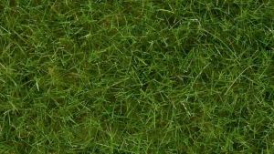 Noch Statická tráva divoká světle zelená 6 mm