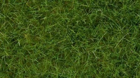 Noch Statická tráva divoká světle zelená 6 mm