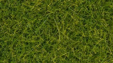 Noch Statická tráva divoká světle zelená XL 12 mm