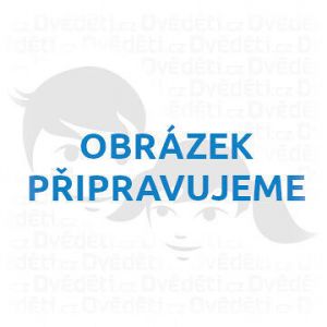 Schylling Katalog hraček 2026 v anglickém jazyce