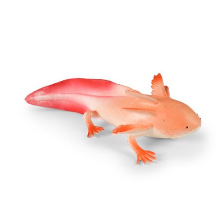 Axolotl 19 cm