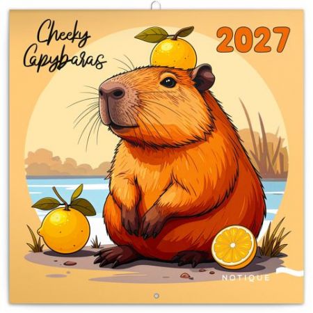 Kalendář nástěnný poznámkový Rozverné kapybary 2027, 30cm x 30cm, PGP-37894-V