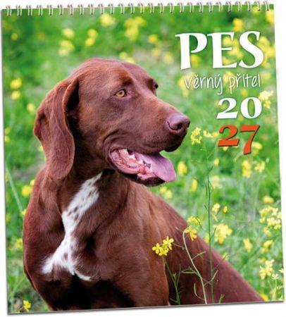 Kalendář nástěnný Pes - věrný přítel 2027, 32cm x 34cm, KN347