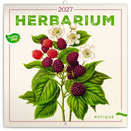 Kalendář nástěnný poznámkový Herbář 2027, PLASTIC FREE, 30cm x 30cm, PGP-36979