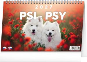 Kalendář stolní Psi – Psy CZ/SK 2027, 23,1cm x 14,5cm, PGS-36874