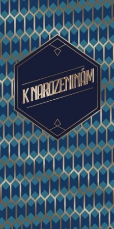ALBI Pánská kapsa s mřížkou