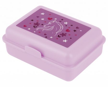 Box na svačinu Koně