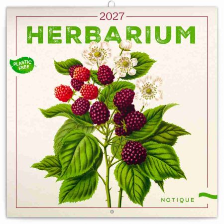 Kalendář nástěnný poznámkový Herbář 2027, PLASTIC FREE, 30cm x 30cm, PGP-36979