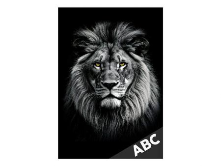 Desky na ABC Lev