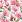 Ubrousky PAW Dekor L (20ks) Pink Bloom