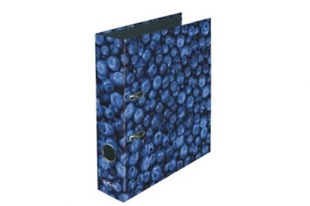 HERLITZ Pákový pořadač lamino A4 8cm BORŮVKY