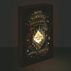 Obraz LED svítící 30x40, Harry potter - Pobertův plánek