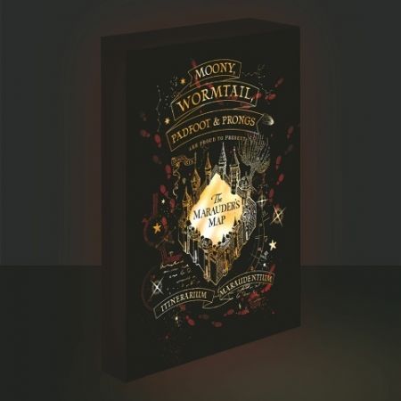 Obraz LED svítící 30x40, Harry potter - Pobertův plánek