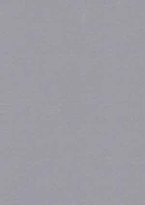 Filc šedý YC-696