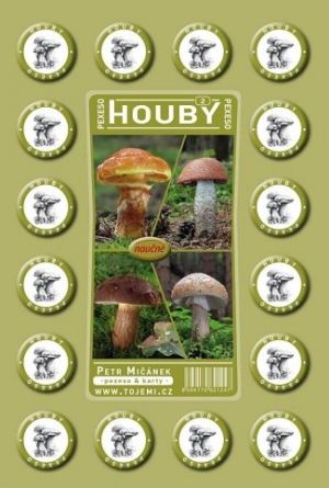 Pexeso Houby