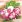 Ubrousky DAISY L (20ks) Festive Red and White with Candle