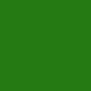 Ubrousky MAKI Unikolor L (20ks) Dark Green