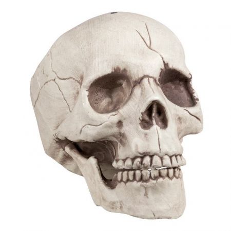 Lebka s pohyblivou čelistí dekorace 21cm
