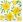 Ubrousky PAW Dekor L (20ks) Daffodils in Bloom