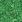 Ubrousky DAISY L (20ks) Clover Background with Ladybug