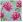 Ubrousky PAW Dekor L (20ks) Beautiful Peonies