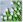 Ubrousky PAW Dekor L (20ks) White Tulips
